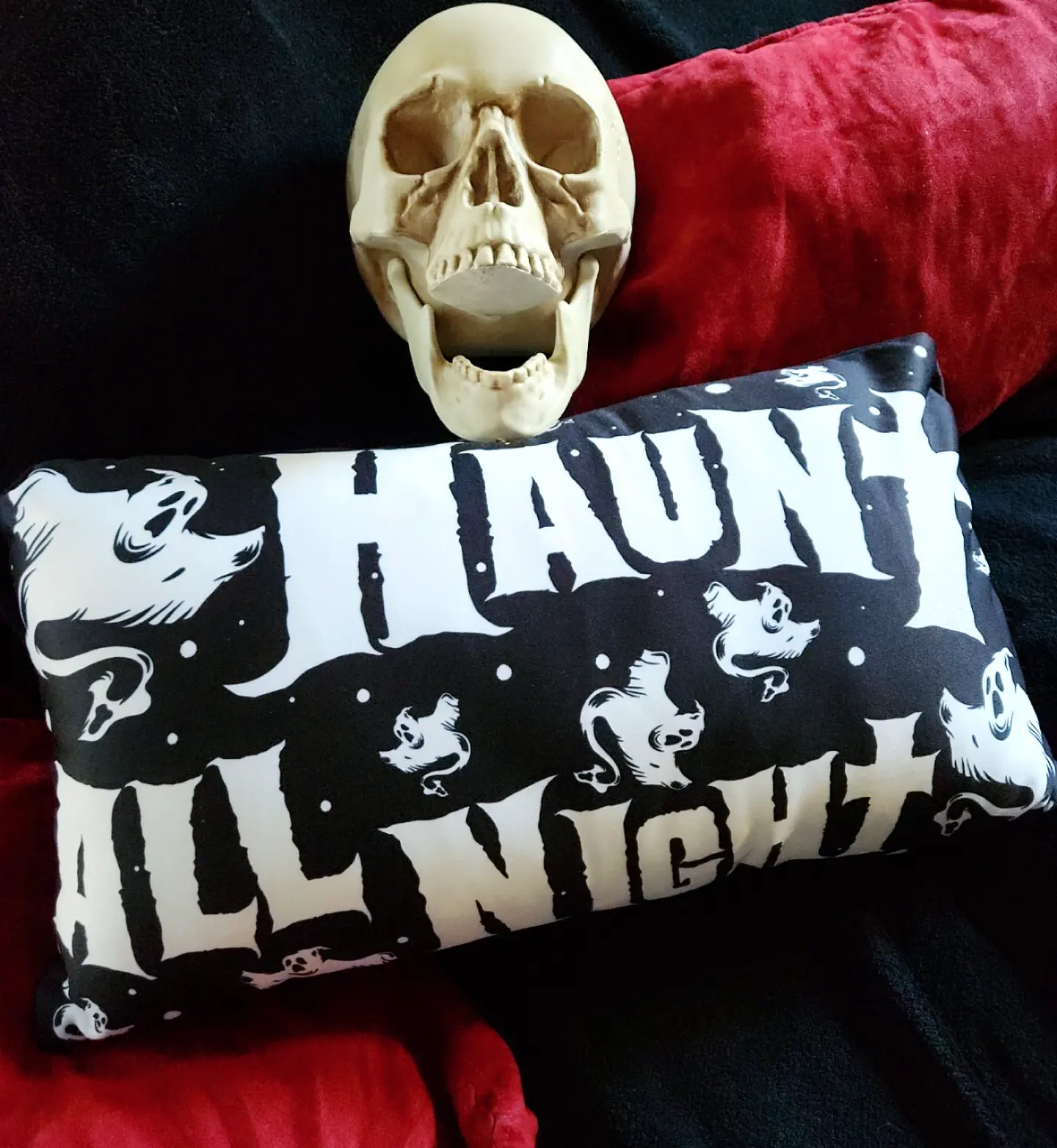 Sleep All Day, Haunt All Night Double Sided Pillow